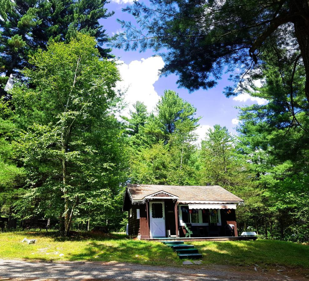 The Wilderness Inn: Chalets Wilmington Exterior foto